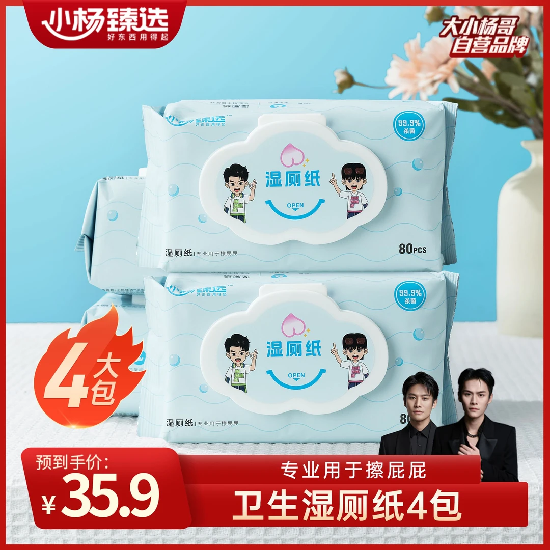 小杨臻选湿厕纸家用湿厕巾 80抽家庭装抽取式厕所湿纸巾 擦屁屁