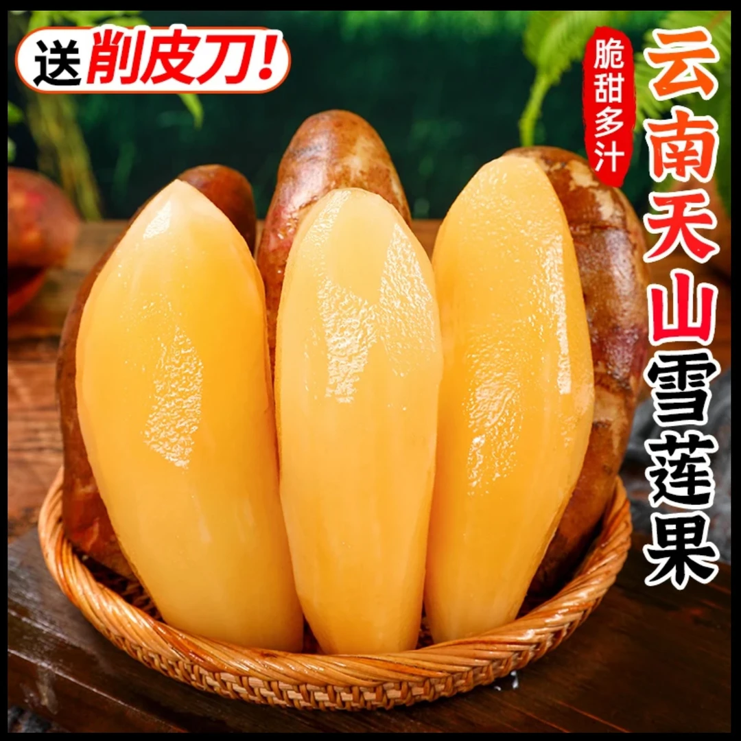 【新鲜现挖】正宗云南高山雪莲新鲜现挖现发坏果包赔送削皮刀