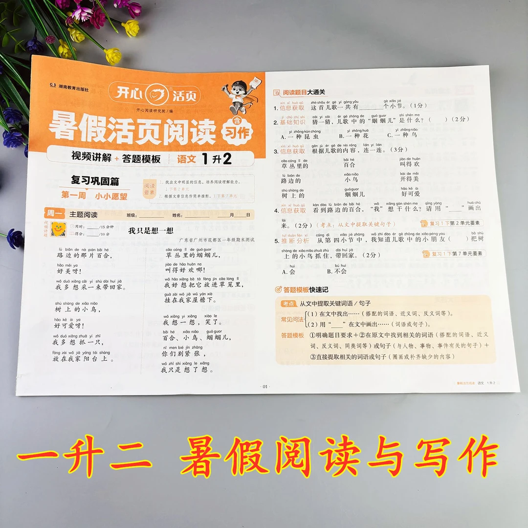 一升二暑假阅读与写作暑假作业练习册一年级暑假阅读理解每日一练