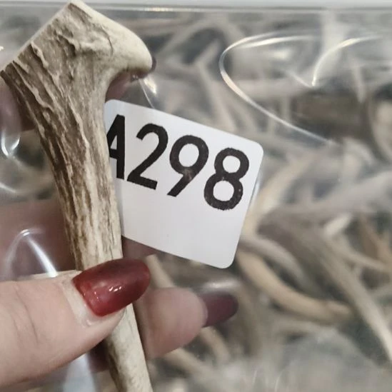 生***子鹿角鹿角鹿角鹿角鹿角