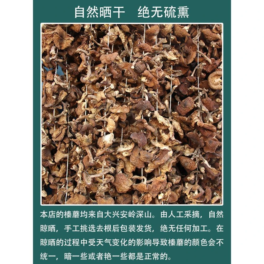 2023新货 新榛蘑东北野生蘑菇干货500g大兴安岭榛蘑钉小鸡炖蘑菇