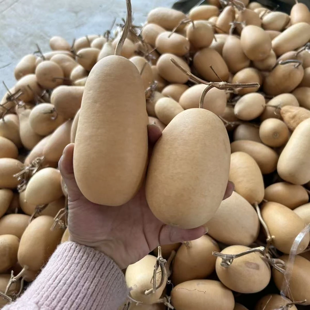 冬瓜葫芦精品纯天然手把件挂件适合烙画摆件墨刻图案手把玩文玩