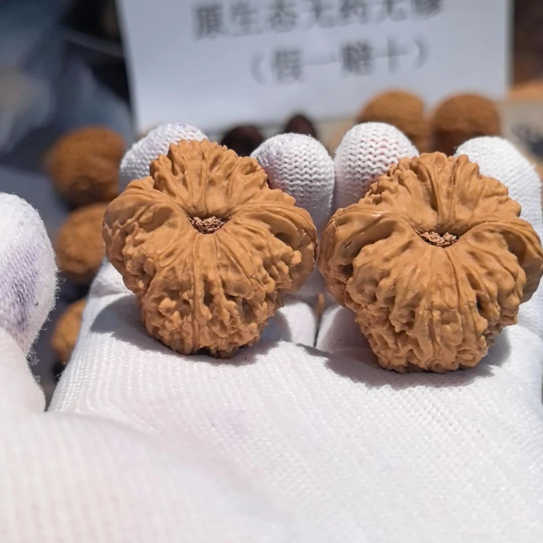 茂***爹涛子南将石直播拍