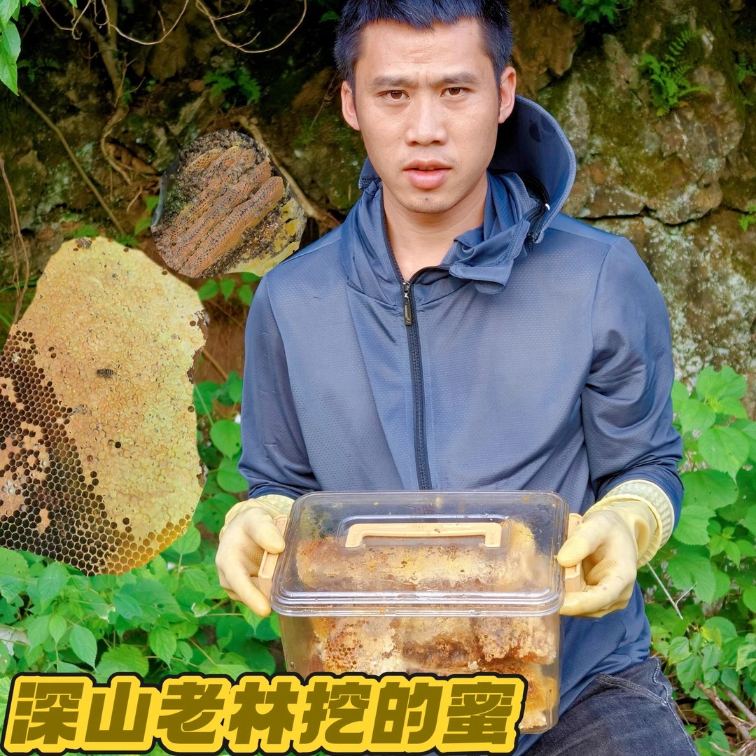 户外山娃大山里自取土蜂蜜原始森林取的野生蜂蜜取的成熟封盖蜜
