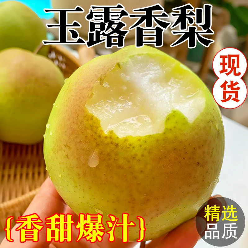 玉露香梨  脆甜多汁 细腻无渣产地 直发新鲜水果 老少皆宜