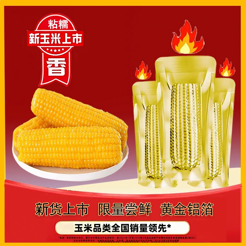 【试吃2根】东北黄糯玉米10棒新货真空包装新鲜甜糯250-300克