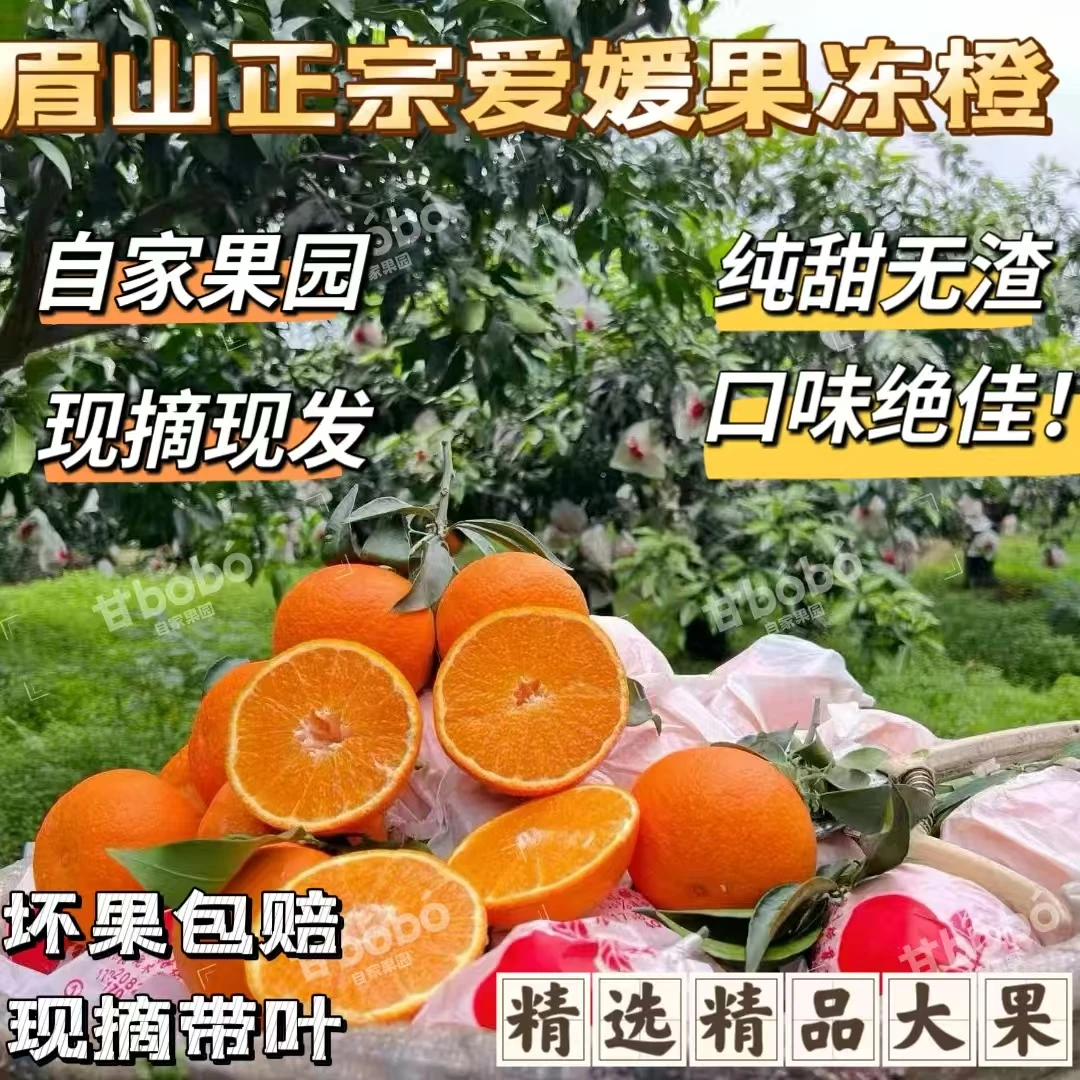 四川正宗爱媛果冻橙已售罄，10月见