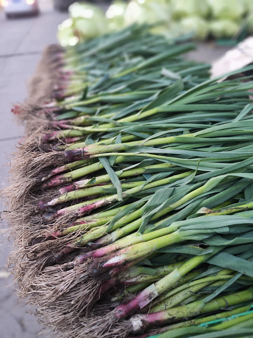 四川香蒜苗 叶青杆红 精品中佼佼者，又炸福利了
