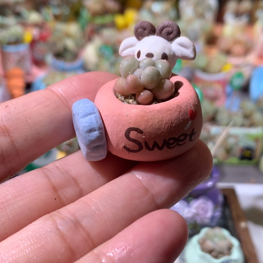 盆内口1.5 不带肉