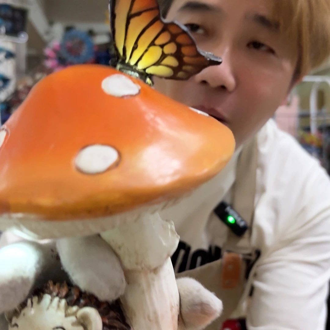 核桃木/黑胡桃（胡桃木）