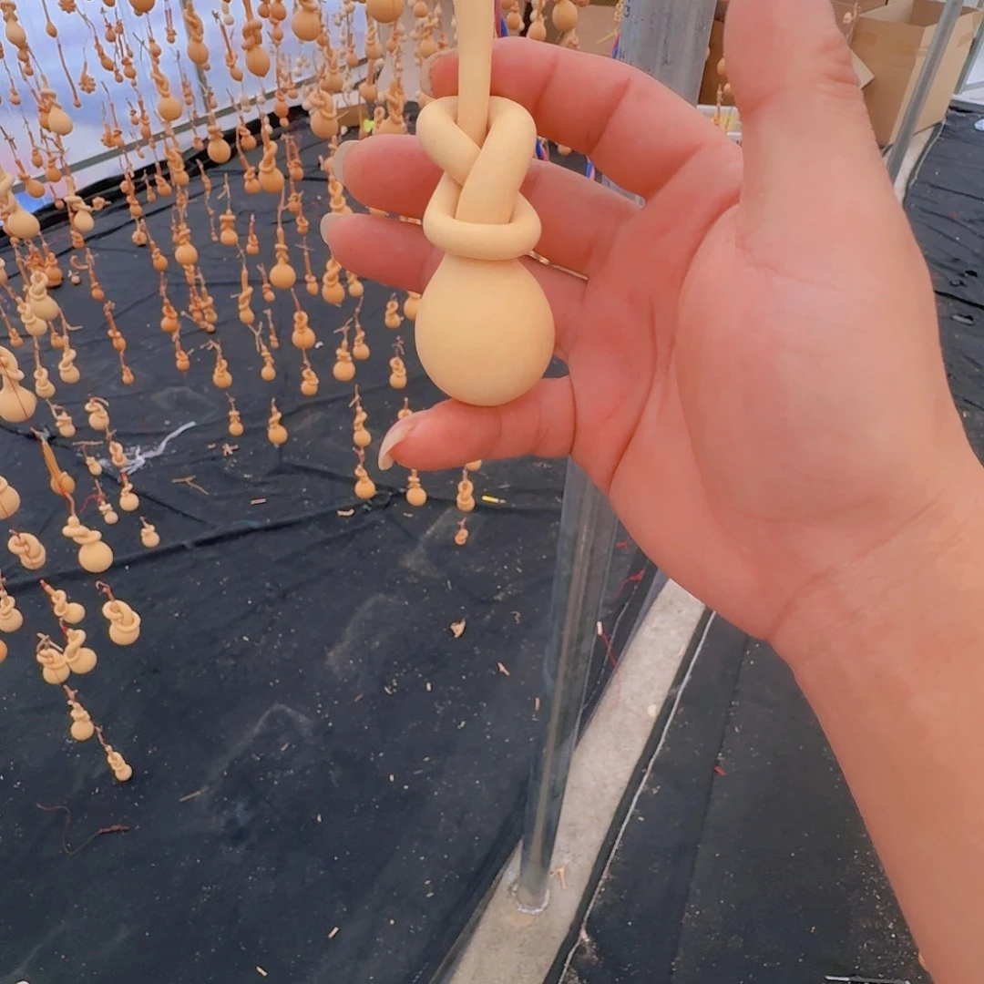 葫芦科动物大红尾雉在其分布中