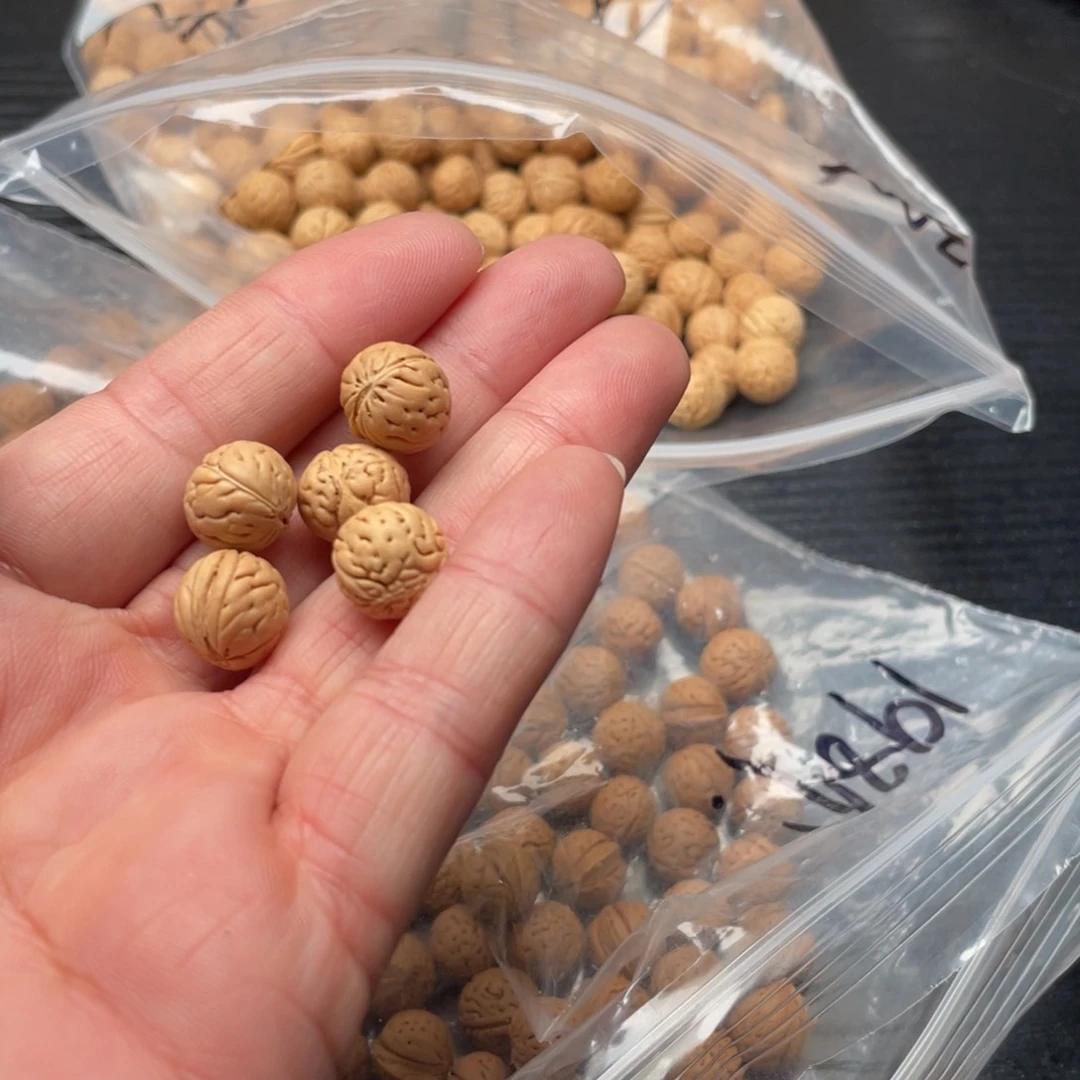 【闪购商品】鹦*散子发货400