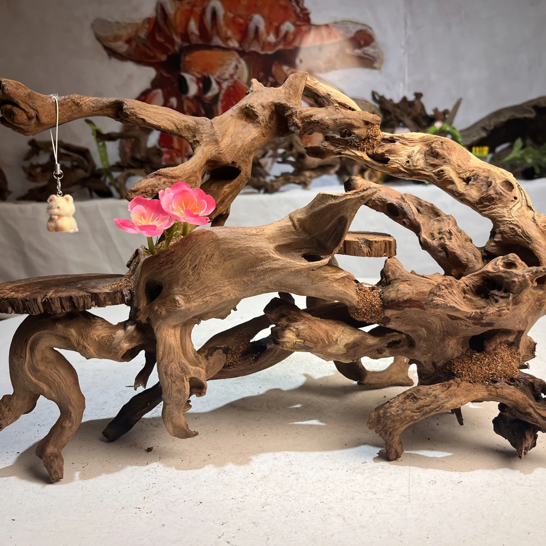 寄居蟹造景沉木尺寸，41.20.29