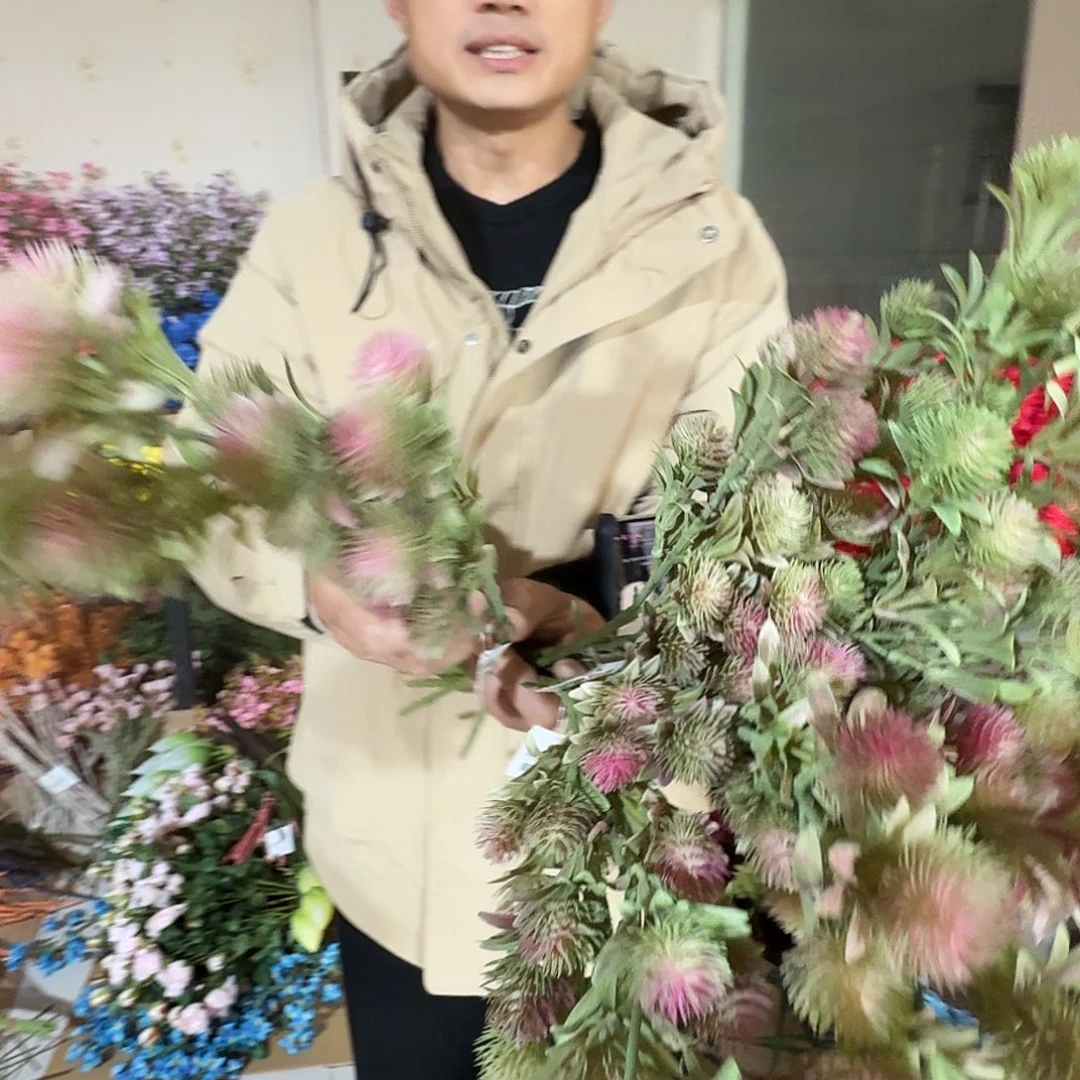 7枝打包孤品绿色果