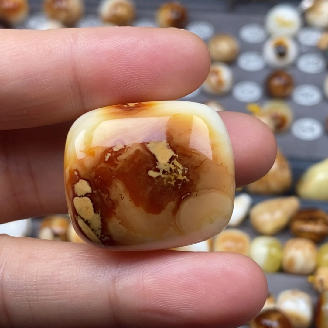 裸石金珀未镶嵌扣