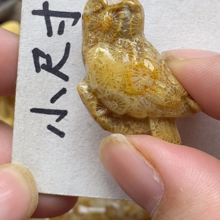 硅化珊瑚（珊瑚玉）未镶嵌颈饰