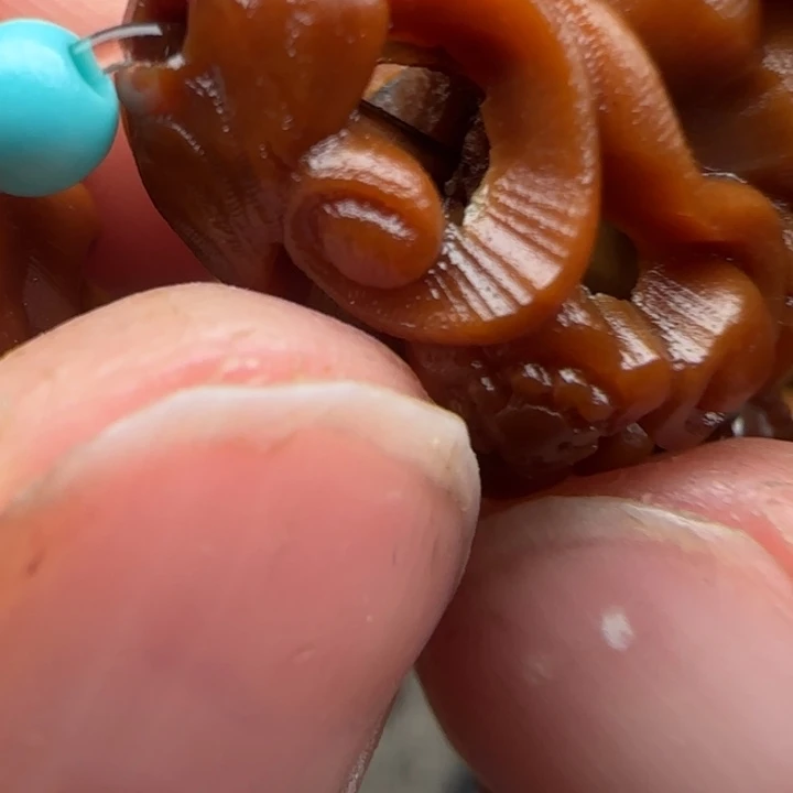 橄榄核吊坠橄榄菜等经济作物