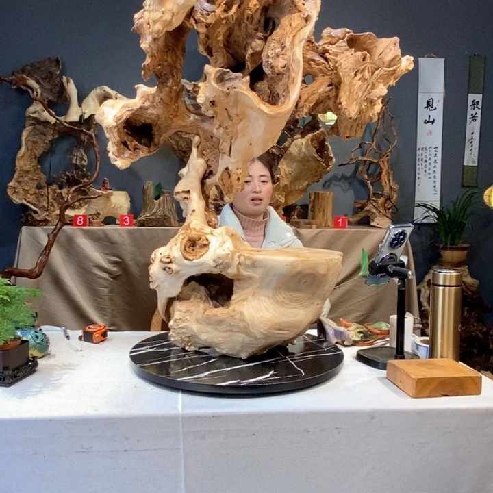 木自**风草木堂根艺摆件196