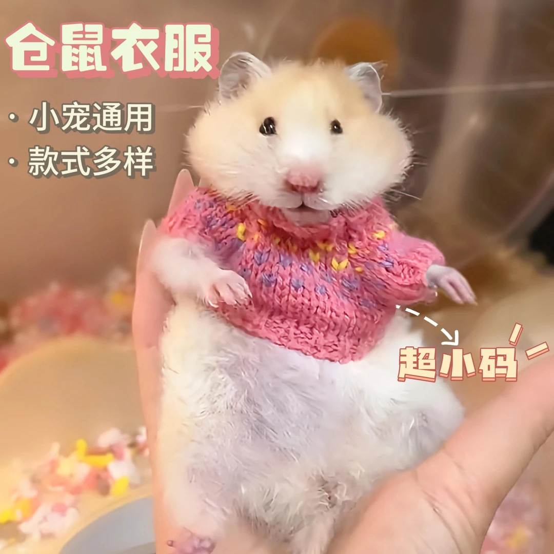 宠物迷你小衣服仓鼠金丝熊荷兰猪蜜袋鼯花枝鼠松鼠龙猫通用外出