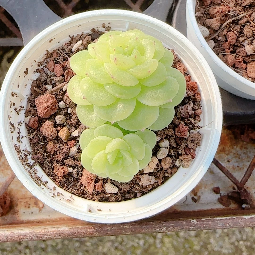 1208-87（ht-9）优选