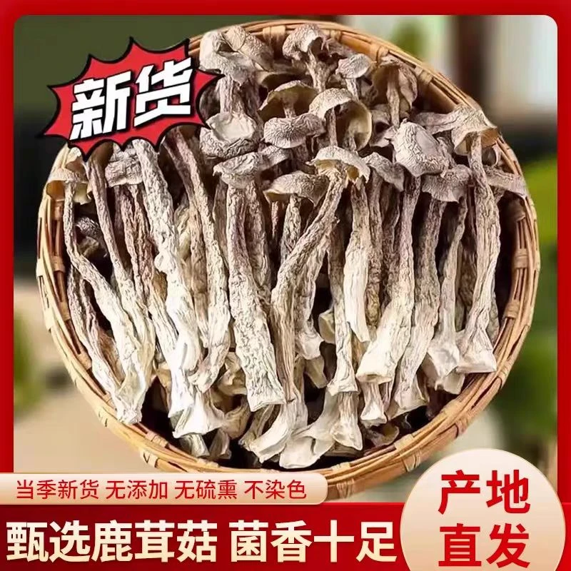 新货鹿茸菌干货无熏硫煲汤精品脆脆菇可炖鸡煲汤
