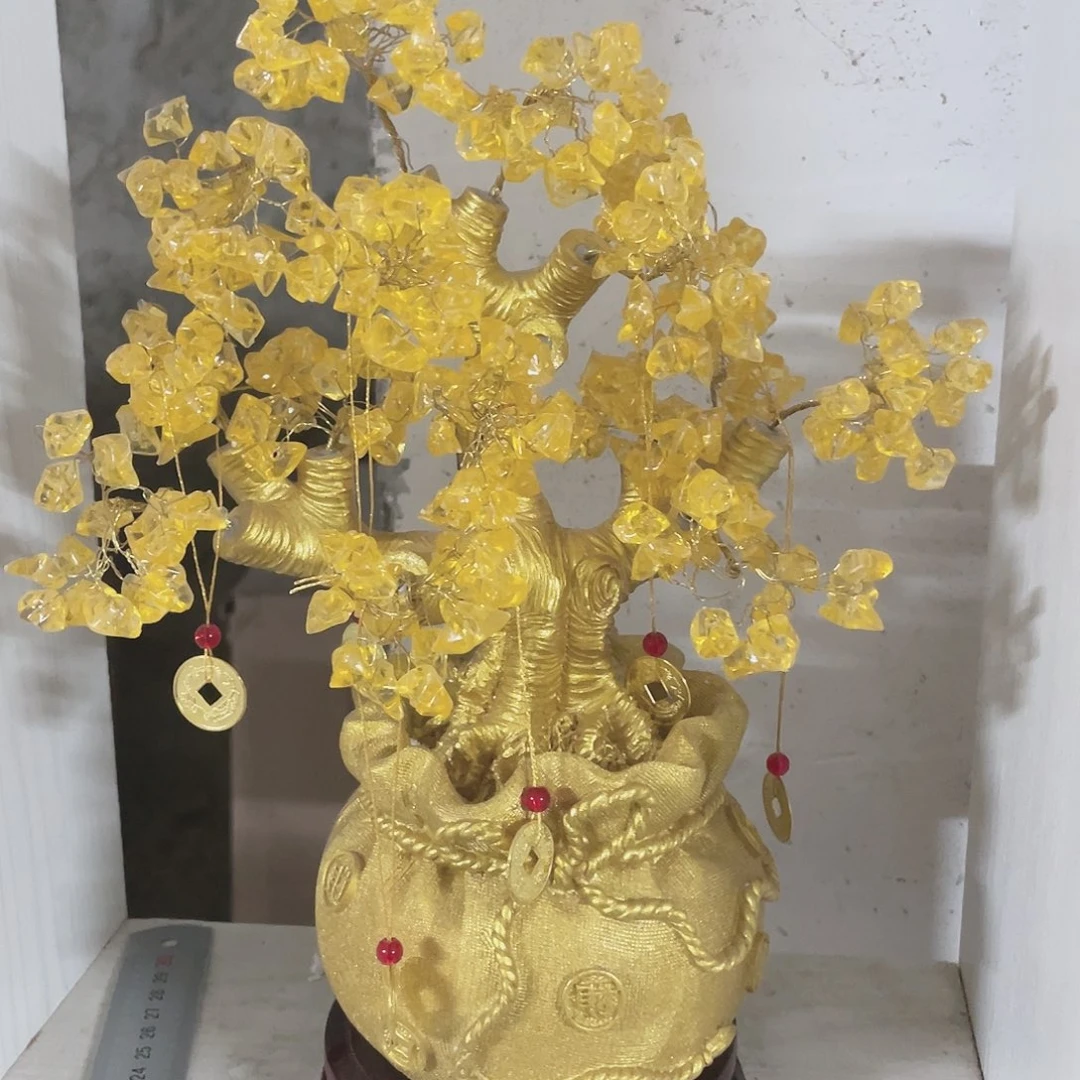 大发财树11111111111