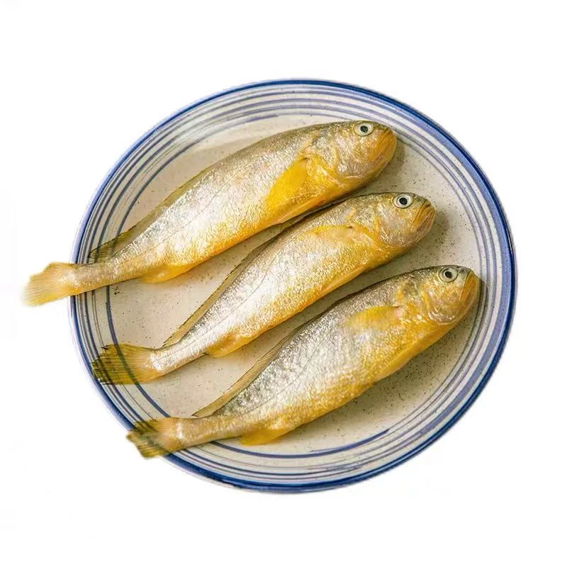 【船冻小小黄鱼】东海海捕小小黄花鱼（非梅童鱼）