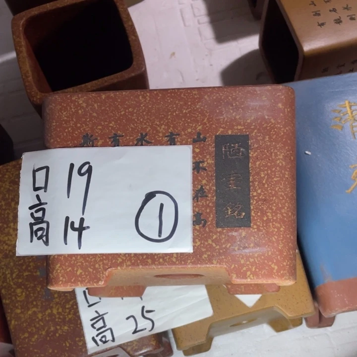 紫砂紫砂紫砂紫砂