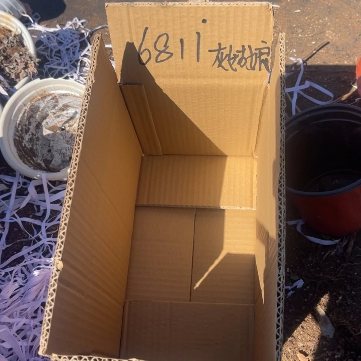 淡*6811灰姑娘（不售后）