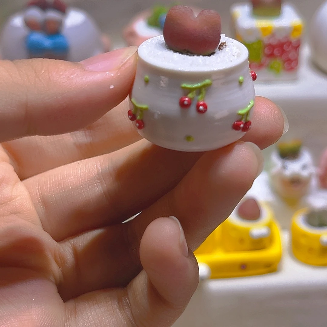 048高端多肉带盆带土