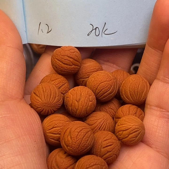 吊坠桃核秦岭龙纹桃核12尺寸