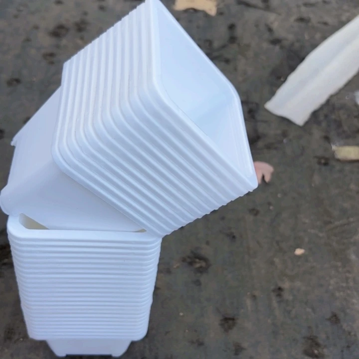 100白方盆9公分高7公分12个