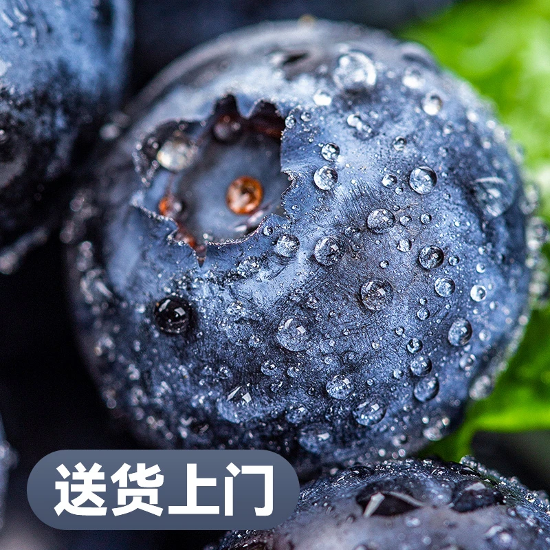云南花香蓝莓新鲜水果现摘蓝莓鲜果超大颗莓怡2-12盒大果18-22mm