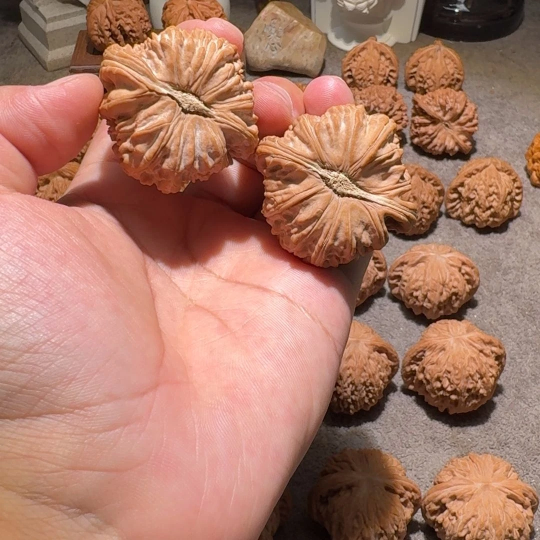 手串/手链核桃46全品卡姿兰白狮子
