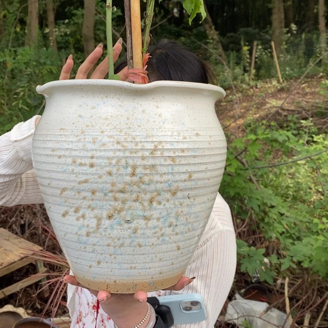紫砂花盆正品24/27