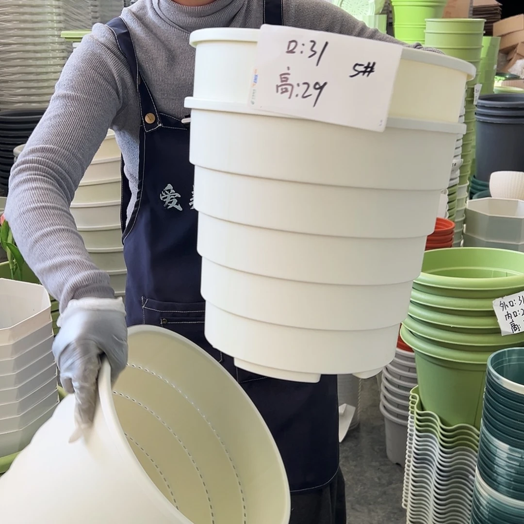 多孔5#白色3个无托