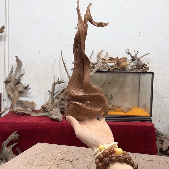 柏木驿**光我们的生活是以自己为