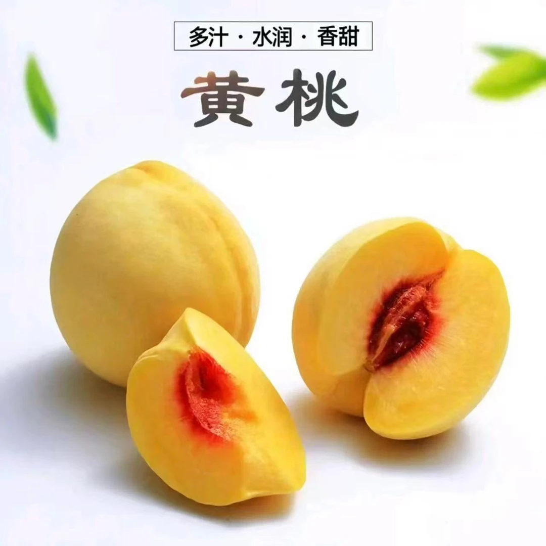 【顺丰包邮】套袋锦绣黄桃 4.5斤个头大香味足