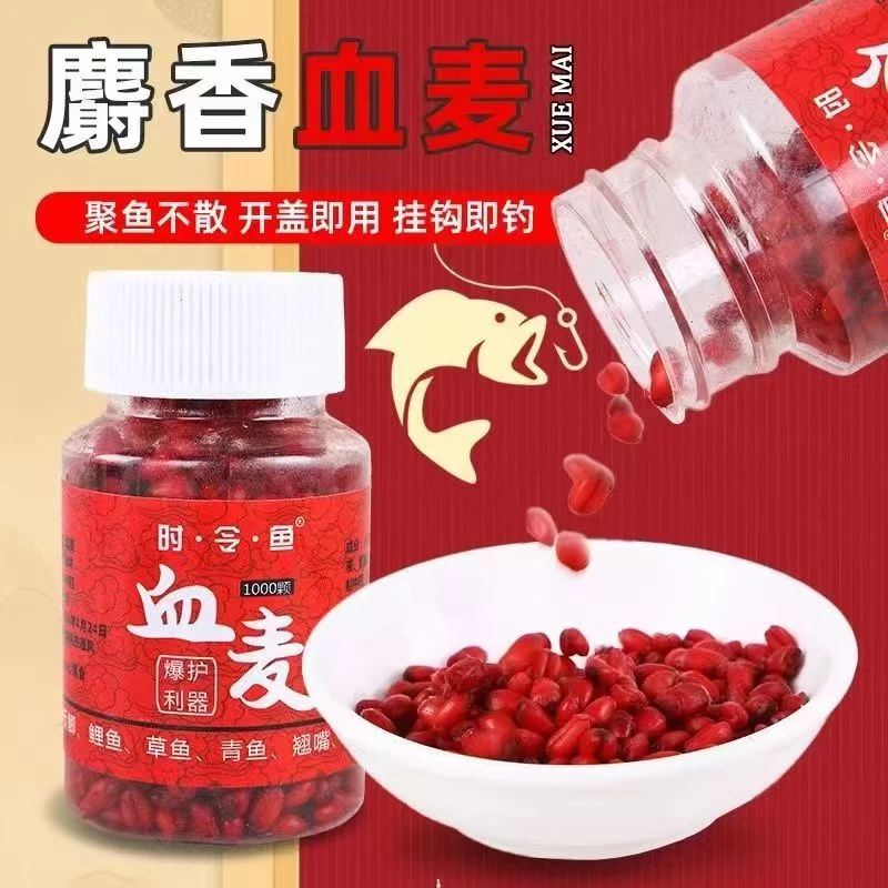 麝香血麦谷麦麦粒鱼饵野钓四季通用颗粒钓饵打窝鲤鱼草鱼挂钩窝料