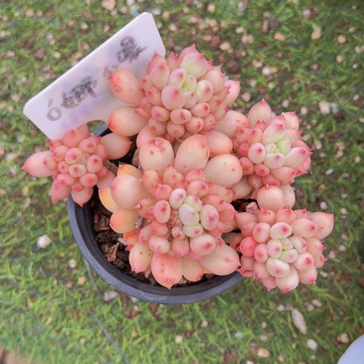 健健康康平平安安