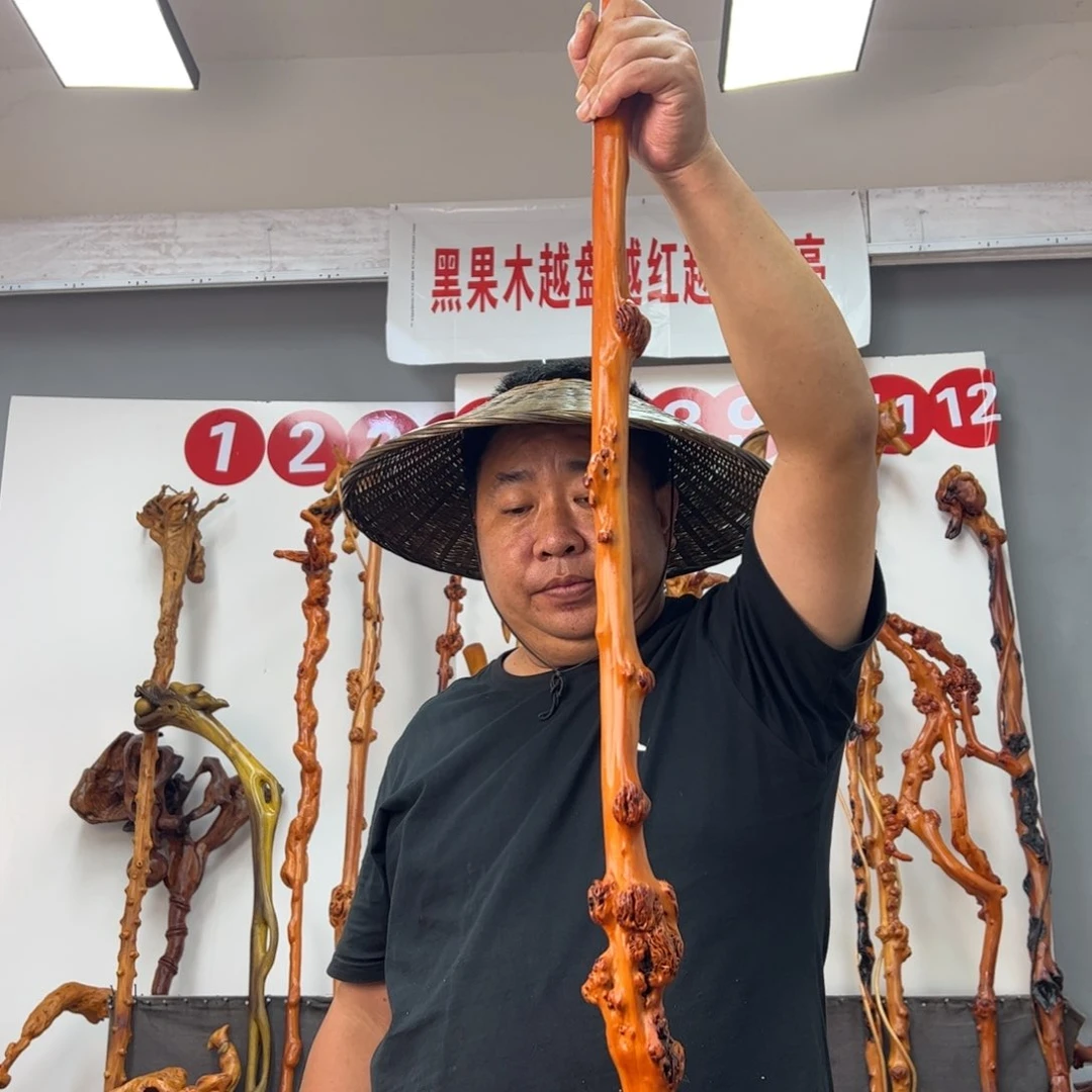 绝***人黑果木其他黑果木202