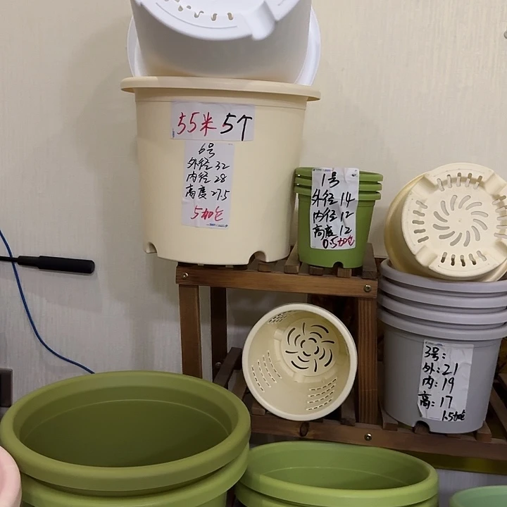 米黄6号口径32高27无托7个