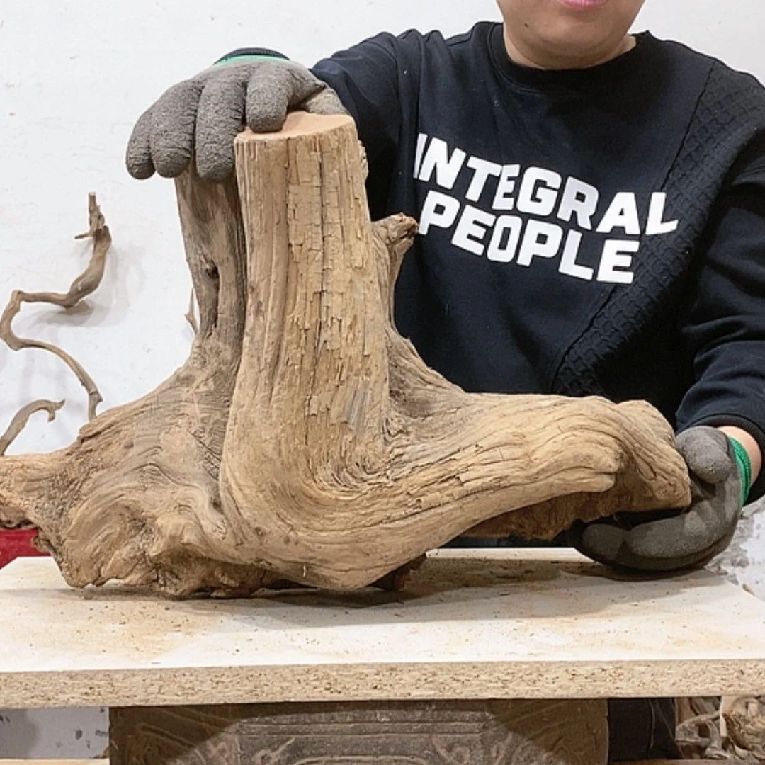 【闪购商品】柏木用****3我们都是好孩子