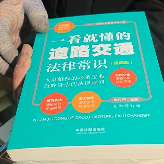 一看就懂的道路交通