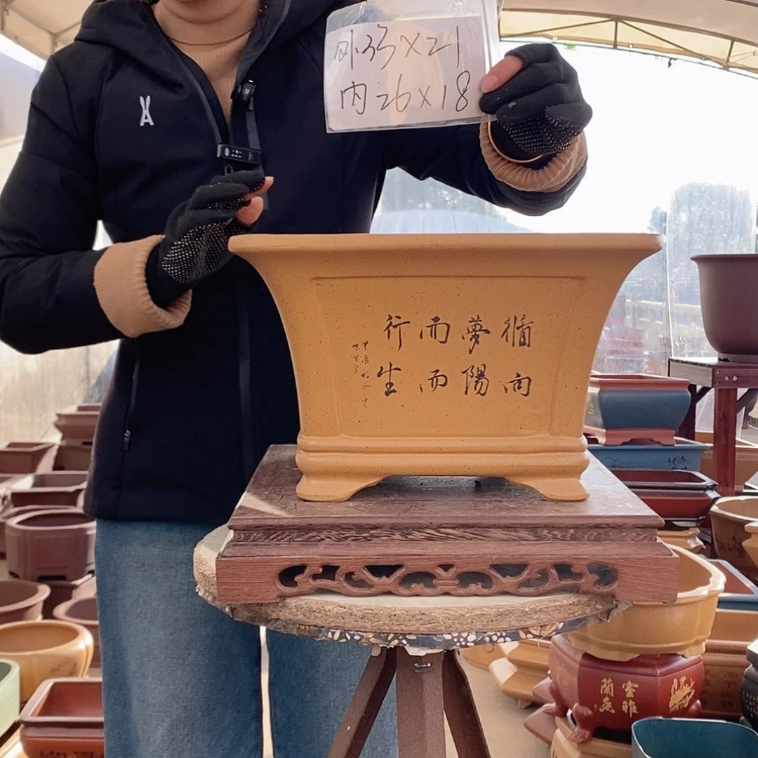 紫砂花盆紫砂花盆