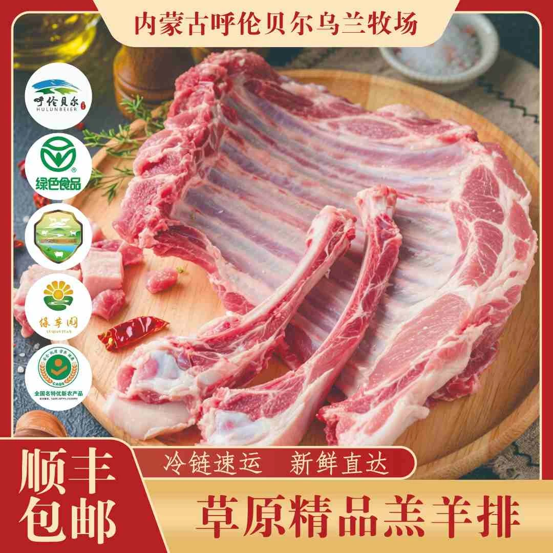 内蒙古呼伦贝尔大草原「牧民乌兰」自家牧场散养散放羔羊排整羊排