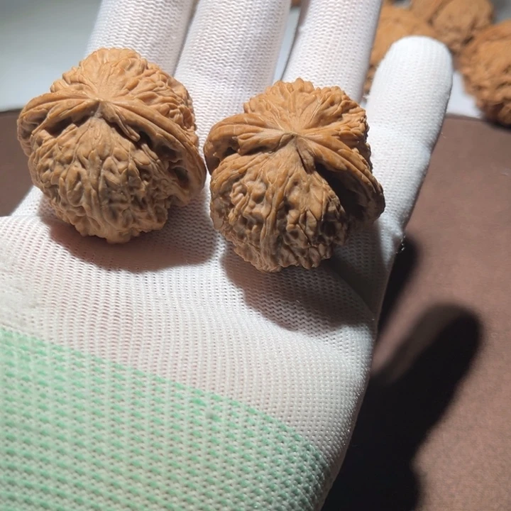 加***鲁精品白狮子三角白