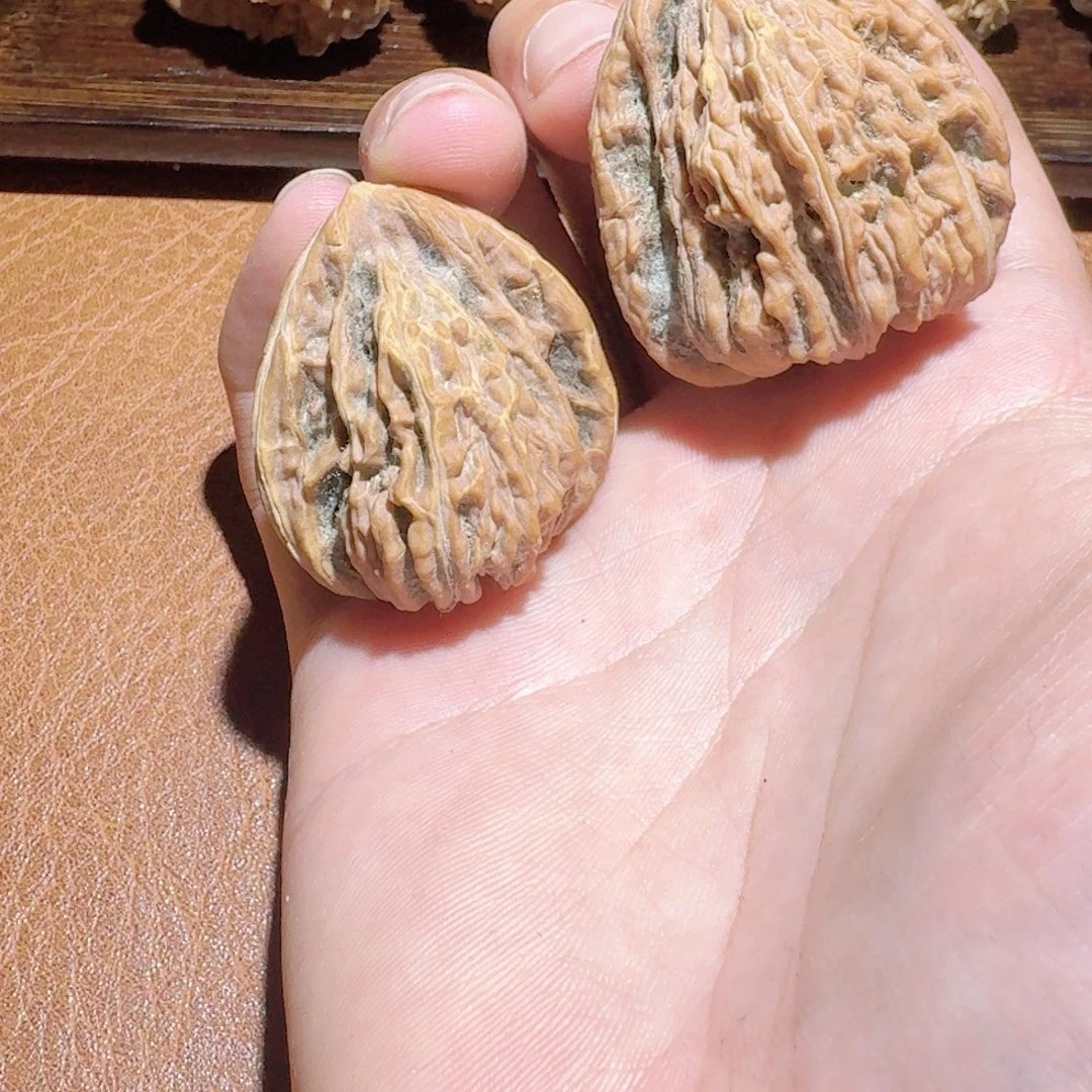 核桃子母对四座楼丑楼