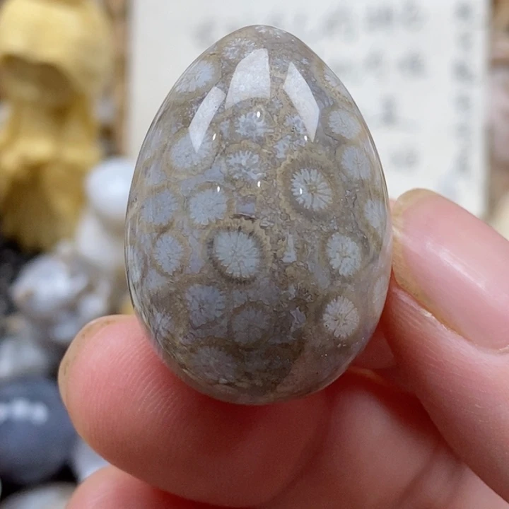 颈饰未镶嵌硅化珊瑚（珊瑚玉）