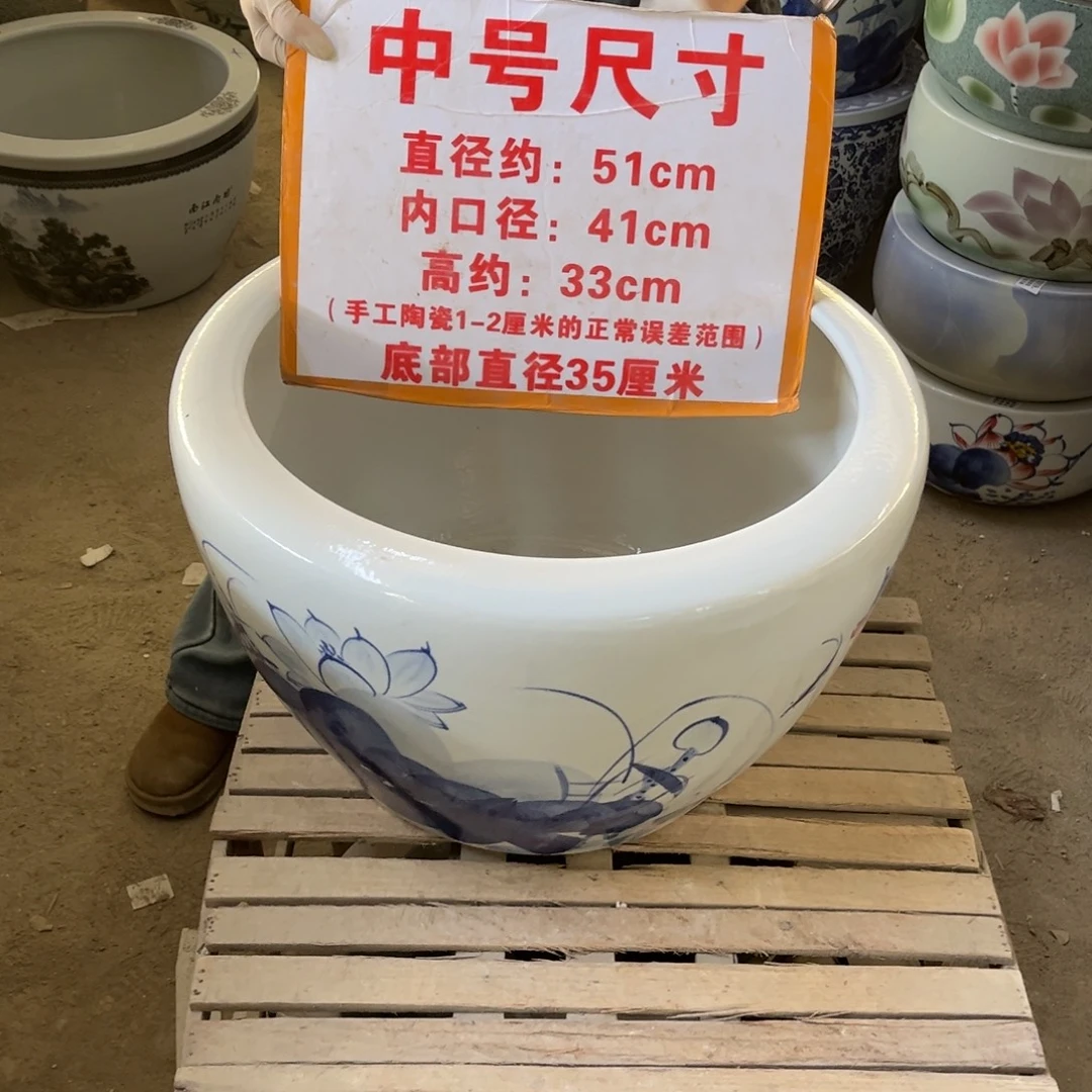瓷片兰荷花50.88888888